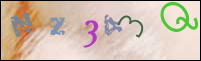 Registration Image