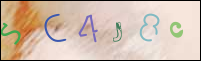 Registration Image