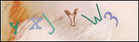 Registration Image