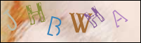 Registration Image