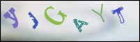 Registration Image