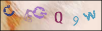 Registration Image