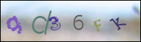 Registration Image