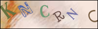Registration Image