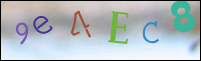 Registration Image