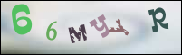 Registration Image
